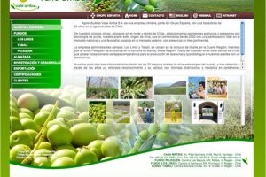 Promoción y campaña Online Twistos Manoinvisible